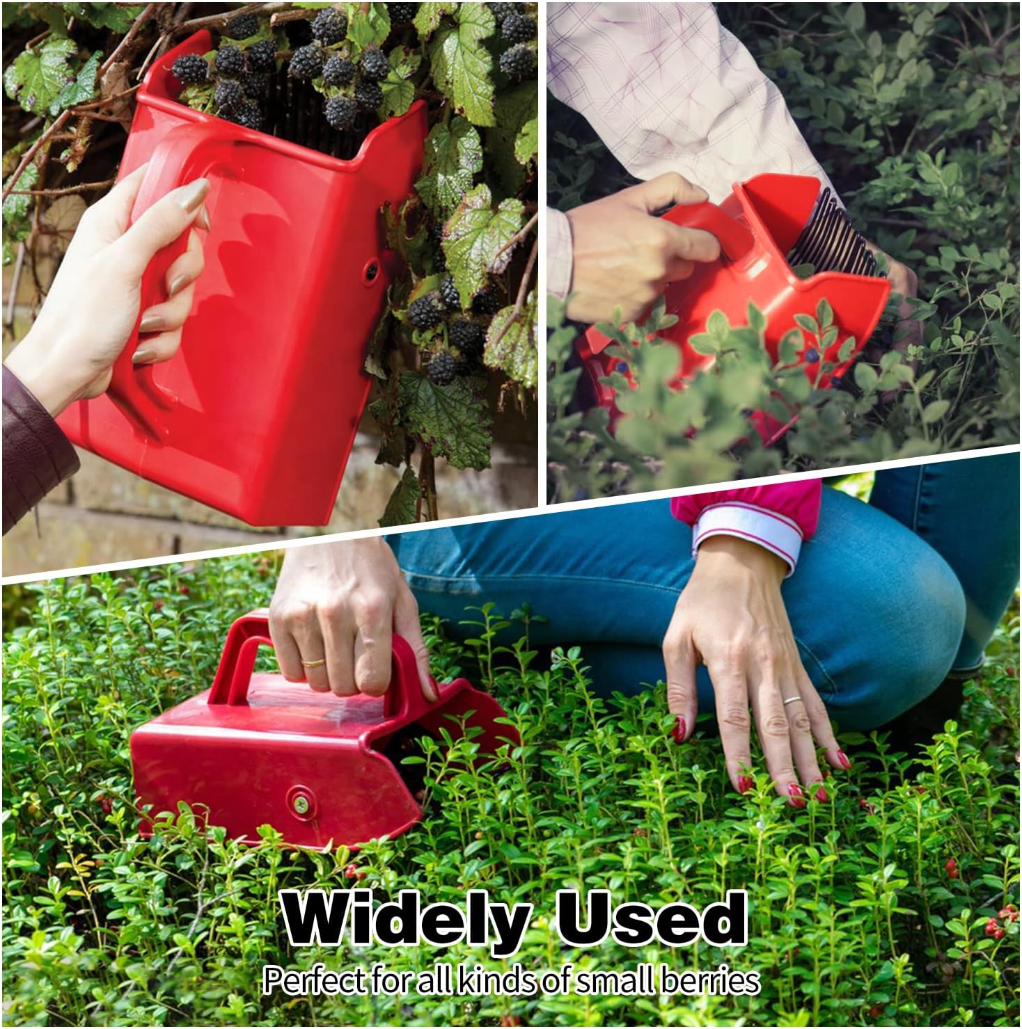 1/2/4 Pack Berry Picker, with Metallic Comb and Ergonomic Handle | for Easier Berry Picking