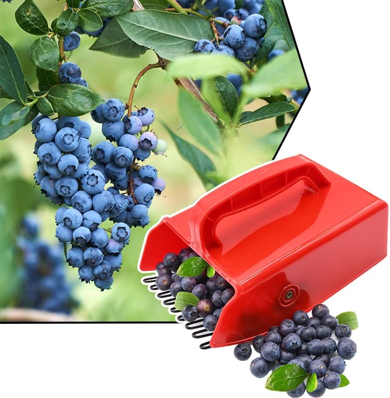 1/2/4 Pack Berry Picker, with Metallic Comb and Ergonomic Handle | for Easier Berry Picking
