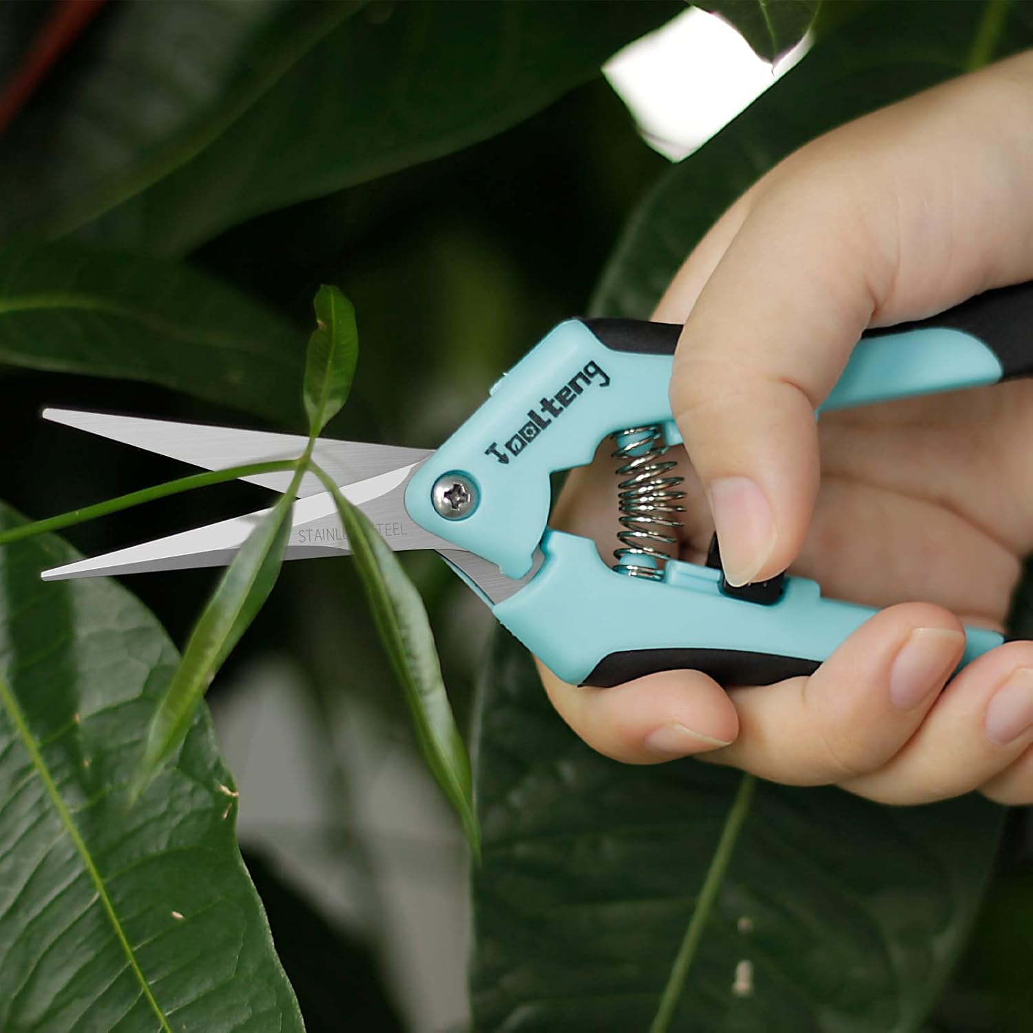 1 Pack Pruning Shears with Curved Blades, Garden Trimming Scissors, Gardening Hand Pruning Snips Titanium Coated Precision Bonsai Pruning Shears, Efficient Flower Cutters (Pink)