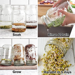 12 Pack Sprouting Lids,304 Stainless Steel Screen Filter Strainer Lid for 2.75 Inch Regular Mouth Mason Jar,Mesh Bean Sprout Sieve Lids,Home Use Alfalfa,Salad,Broccoli,Lentil NO GLASS JAR