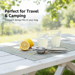 0019 Stainless Steel Manual Citrus Juicer – 5 cm Lemon Squeezer – Portable & Easy to Clean
